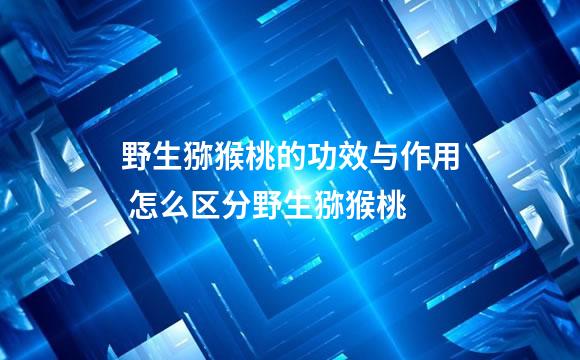 野生猕猴桃的功效与作用 怎么区分野生猕猴桃